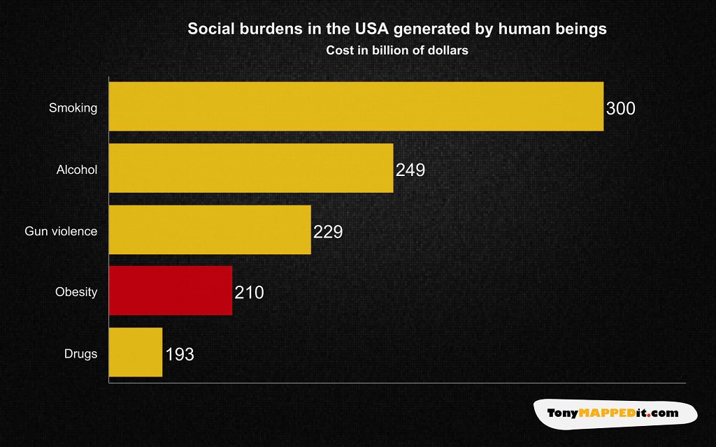 This Chart Shows The Cost Of Social Burdens In The USA Generated By Human Beings